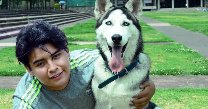 Los perros también sufren de ansiedad si su entorno no es el adecuado. Foto: UNAM