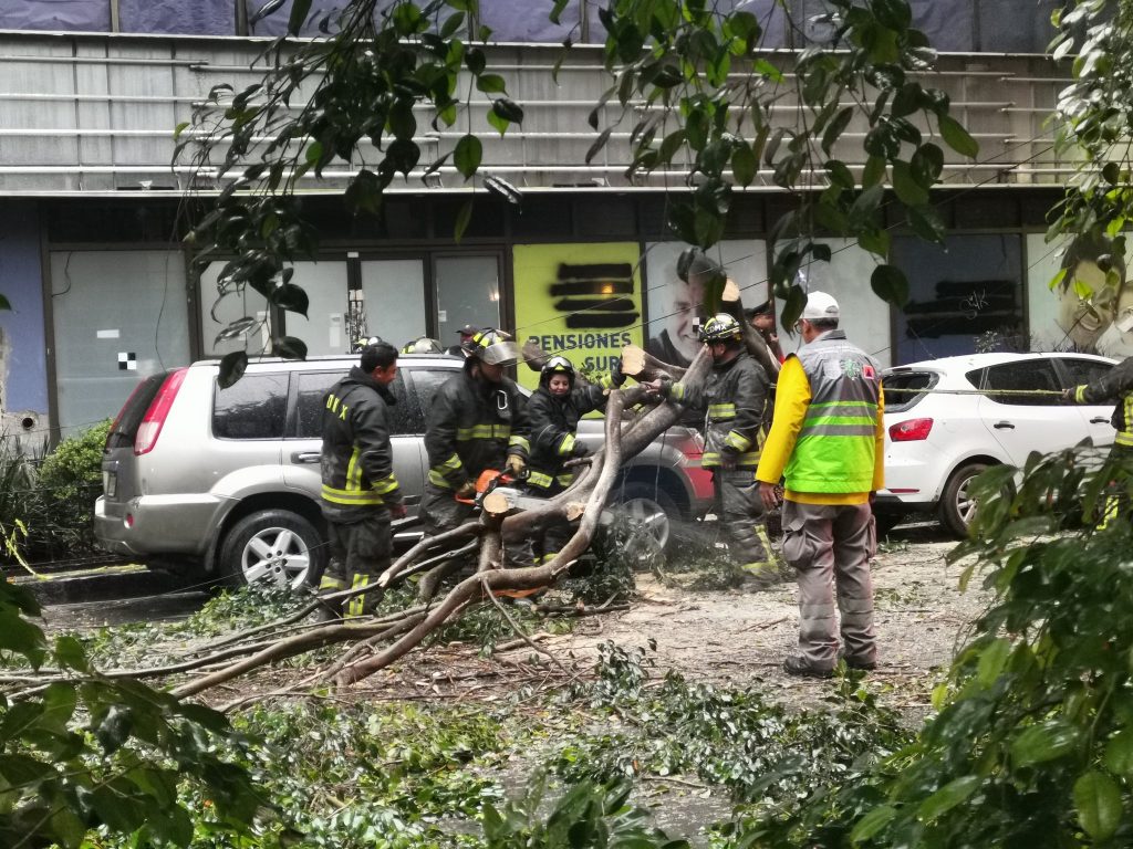 El árbol cayó sobre dos autos en la colonia Juárez. Foto: Twitter