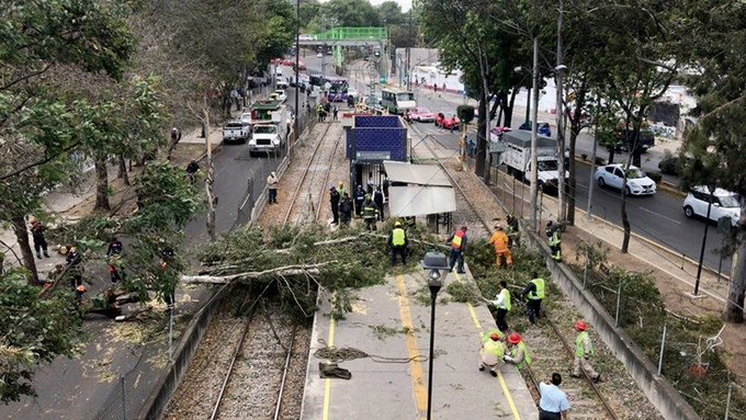 Activan alerta amarilla por fuertes vientos en las 16 alcaldías