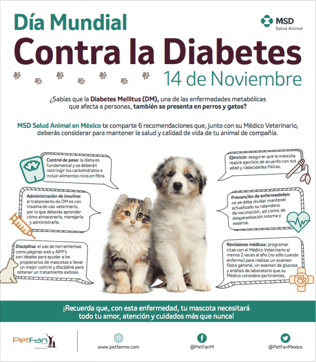 mascotas con diabetes