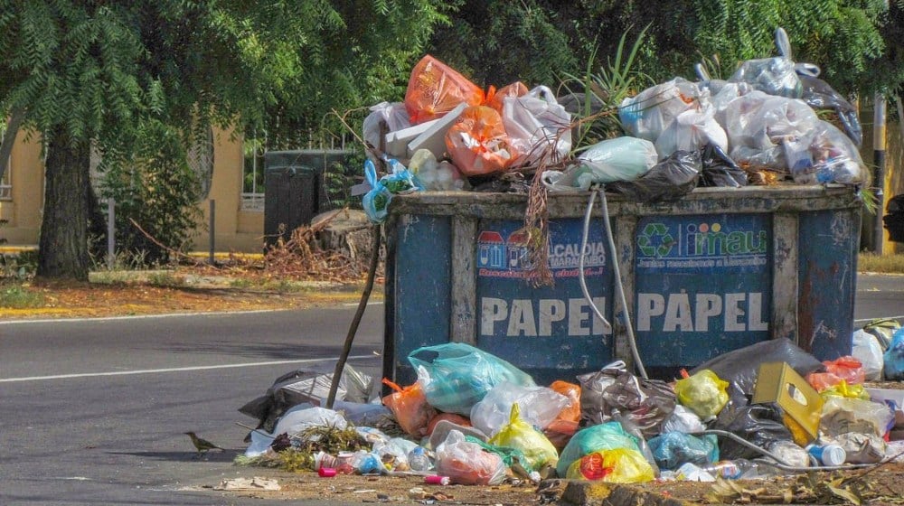 mejor me tiro a la basura