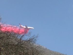 Avión DC10 combate incendio forestal en Arteaga