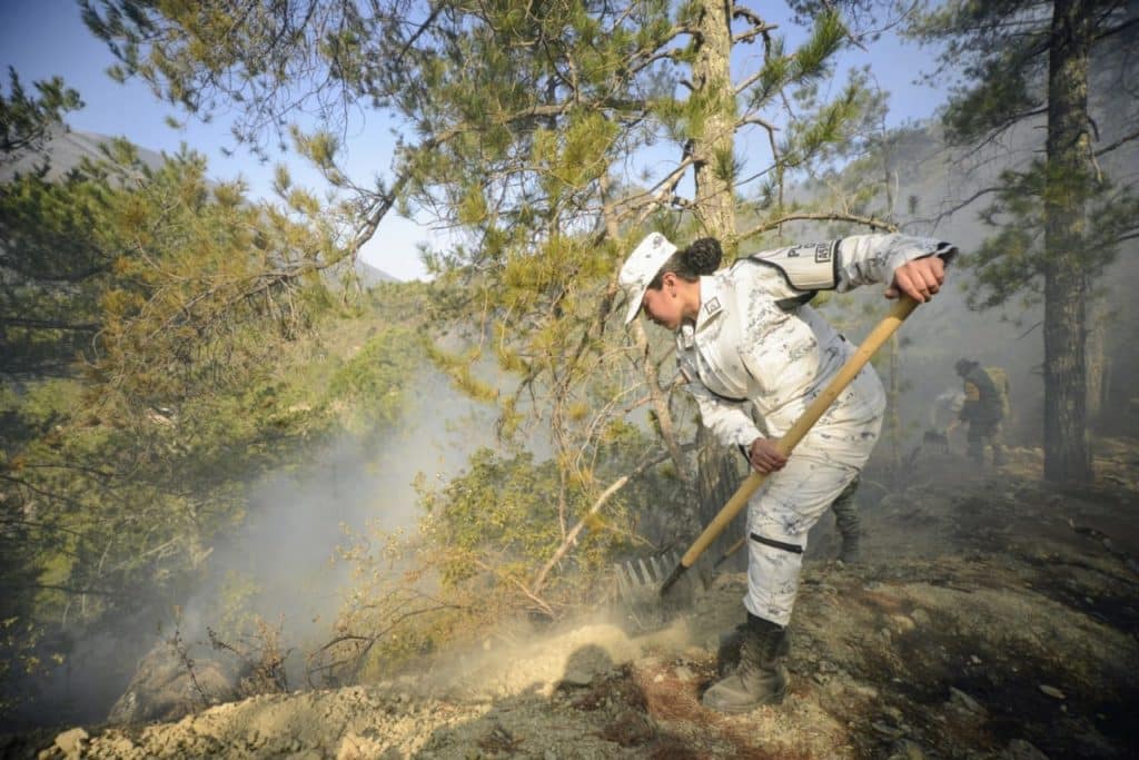 Incendio Forestal