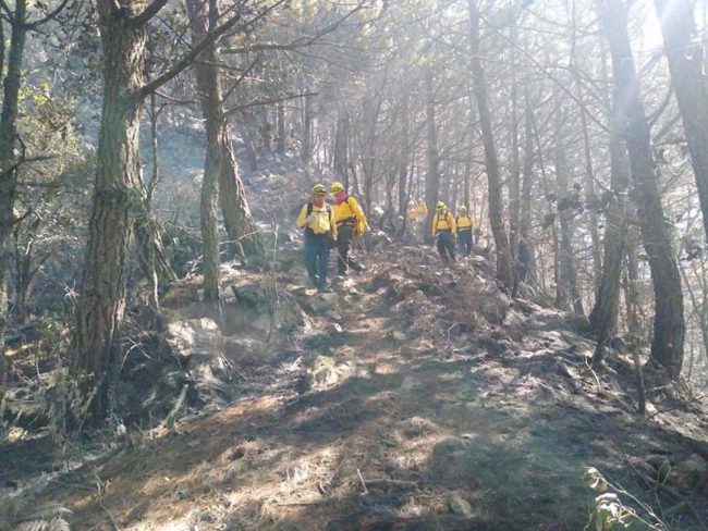 Se reporta liquidado el incendio forestal de Tatatila, Veracruz