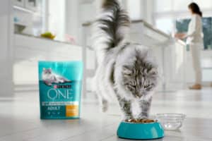 Purina One Cat