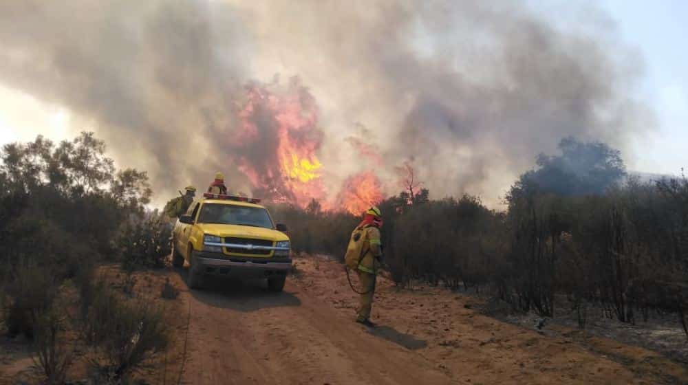 recomendaciones para prevenir incendios forestales