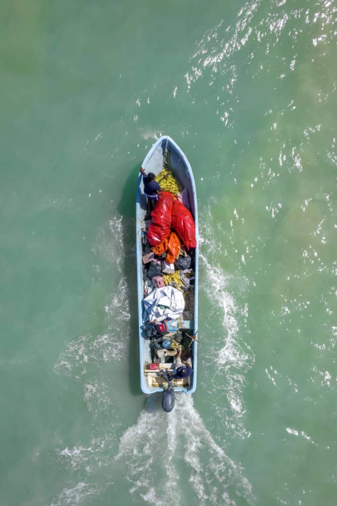 Campeonato de pesca de plástico