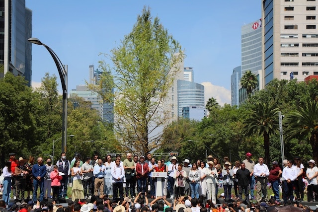 Ahuehuete Reforma