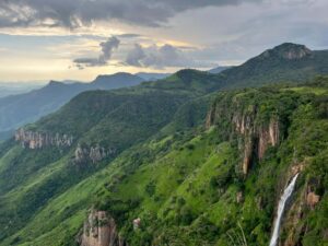 Consolida Edomex acciones de protección, conservación y cuidado del medio ambiente