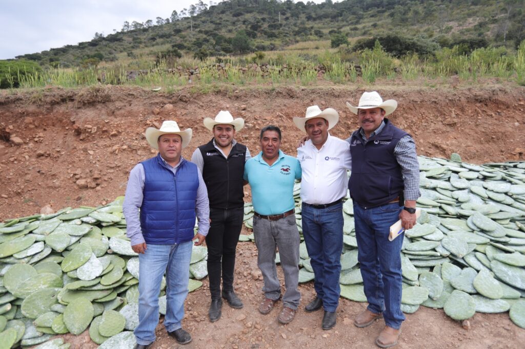 Promueve SEDEA siembra de nopal como cultivo alternativo