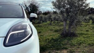 ¡Olivos, aceitunas y olé! Ford más verde que nunca