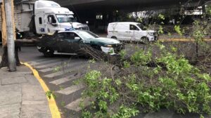 Alerta amarilla por vientos fuertes en la capital del país