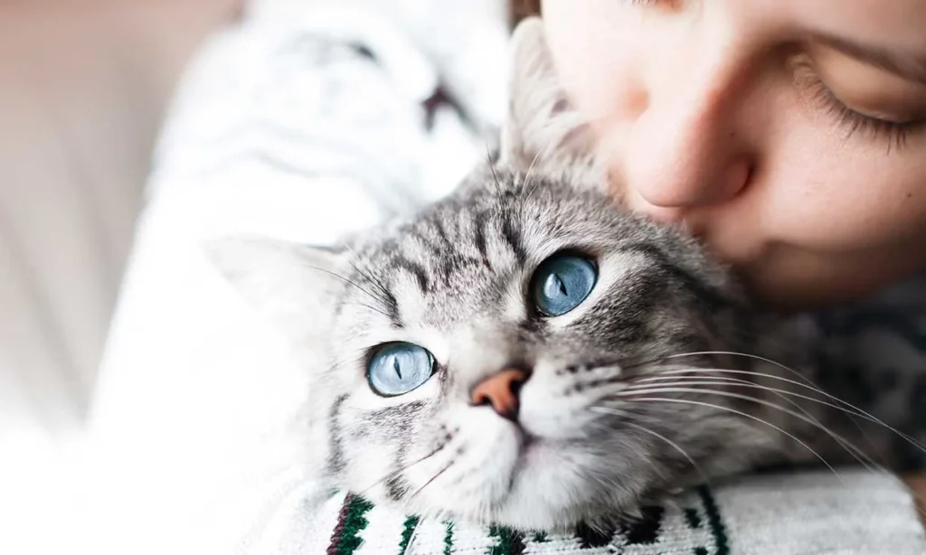 Día Mundial de Amar a tu Mascota: Amar a nuestros michis