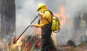 Conafor incendios forestales