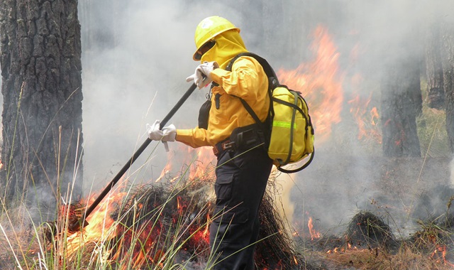 Conafor incendios forestales