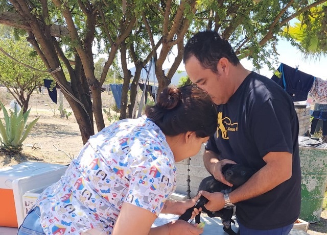 Vacunación Antirrábica Canina y Felina