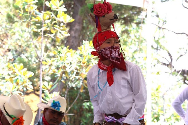 Danza: pascola venadito y matachín