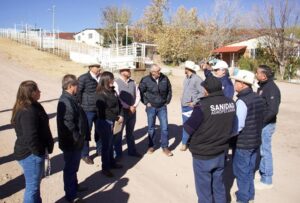 exportación de ganado