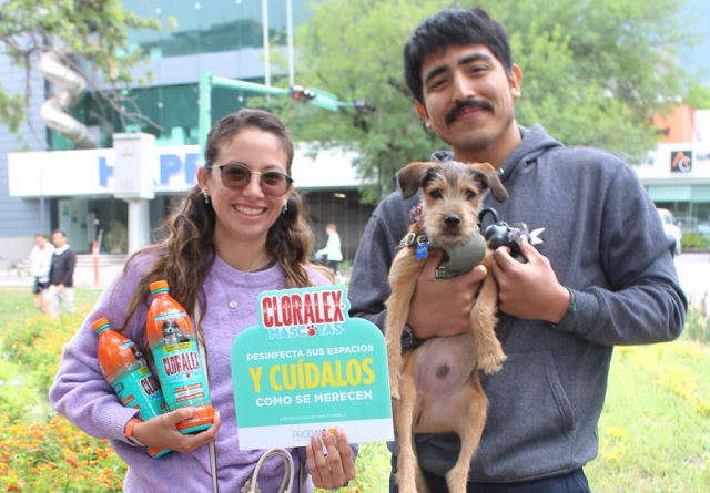 Cloralex Mascotas