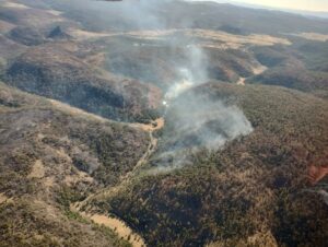 incendios forestales