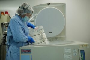 Cordón Umbilical