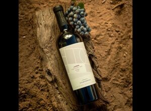 Festival Internacional del Vino