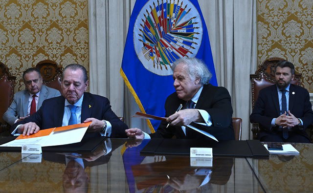 Fundación Taeda