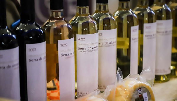 Queso y Vino