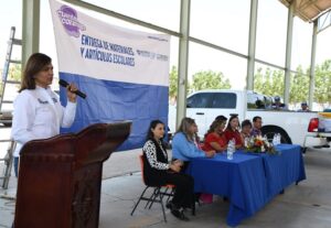 Nuevo Casas Grandes