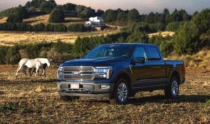 King Ranch