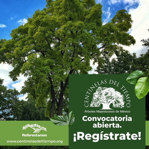 Reforestamos México 