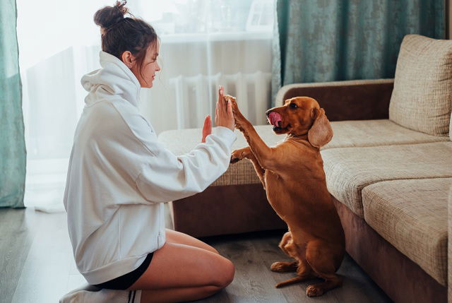 Cuida Mi Mascota