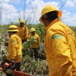 incendios forestales