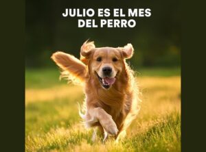 Día Mundial del Perro